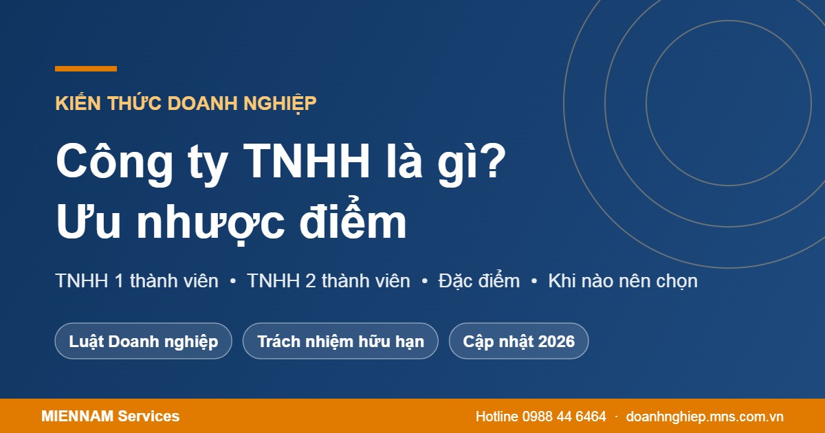 Công ty TNHH là gì, ưu nhược điểm
