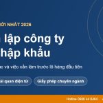 Thành lập công ty xuất nhập khẩu năm 2026 cần những gì?
